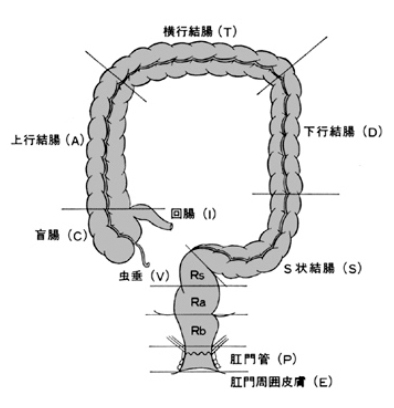 た 気づい 大腸 きっかけ が ん