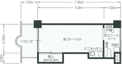 Aタイプ